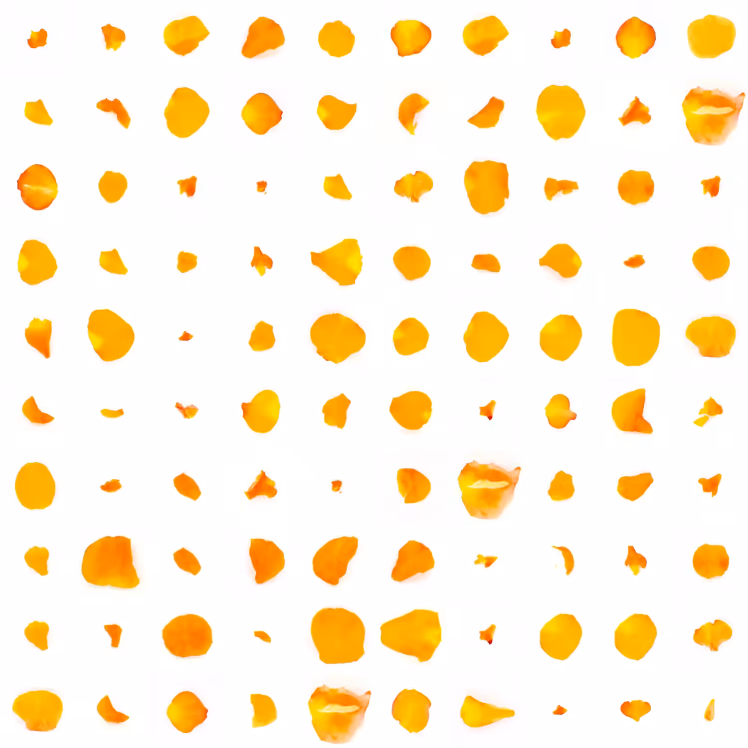 Infinite Petals 10x10#900014