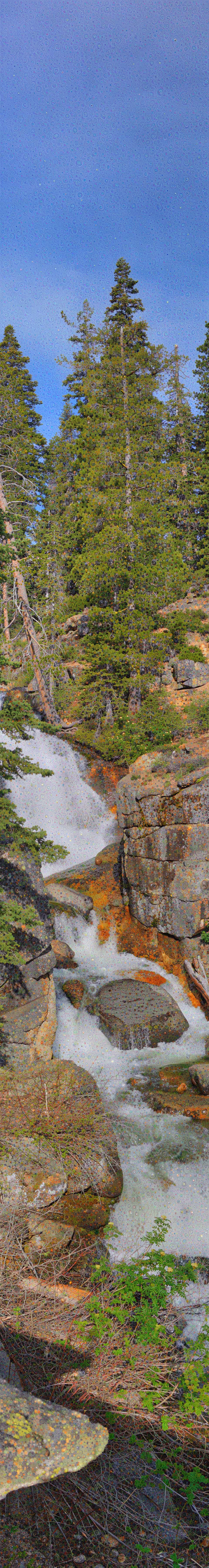 Shirley Canyon Dream Scroll (Tahoe National Forest, CA) #1