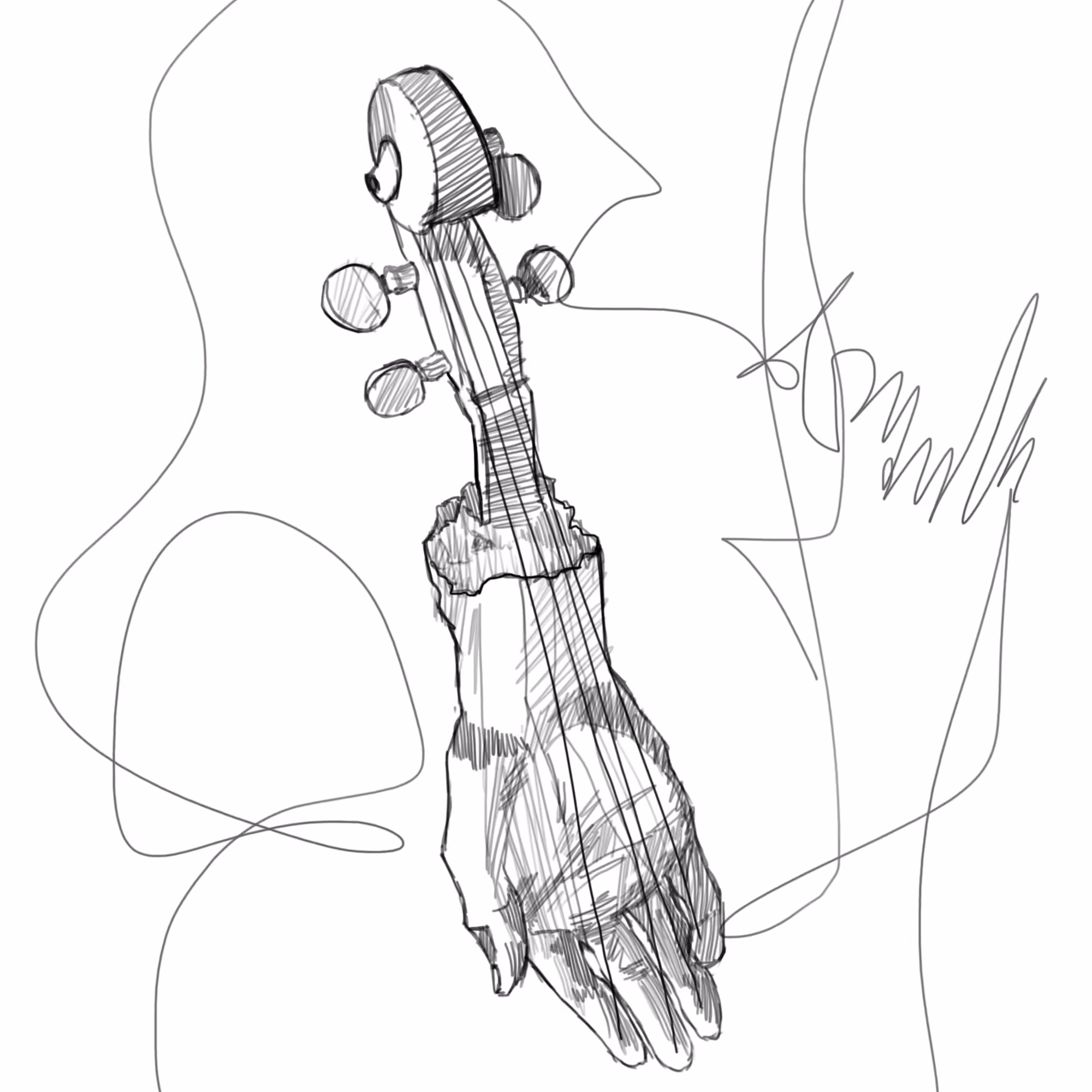 The Musician