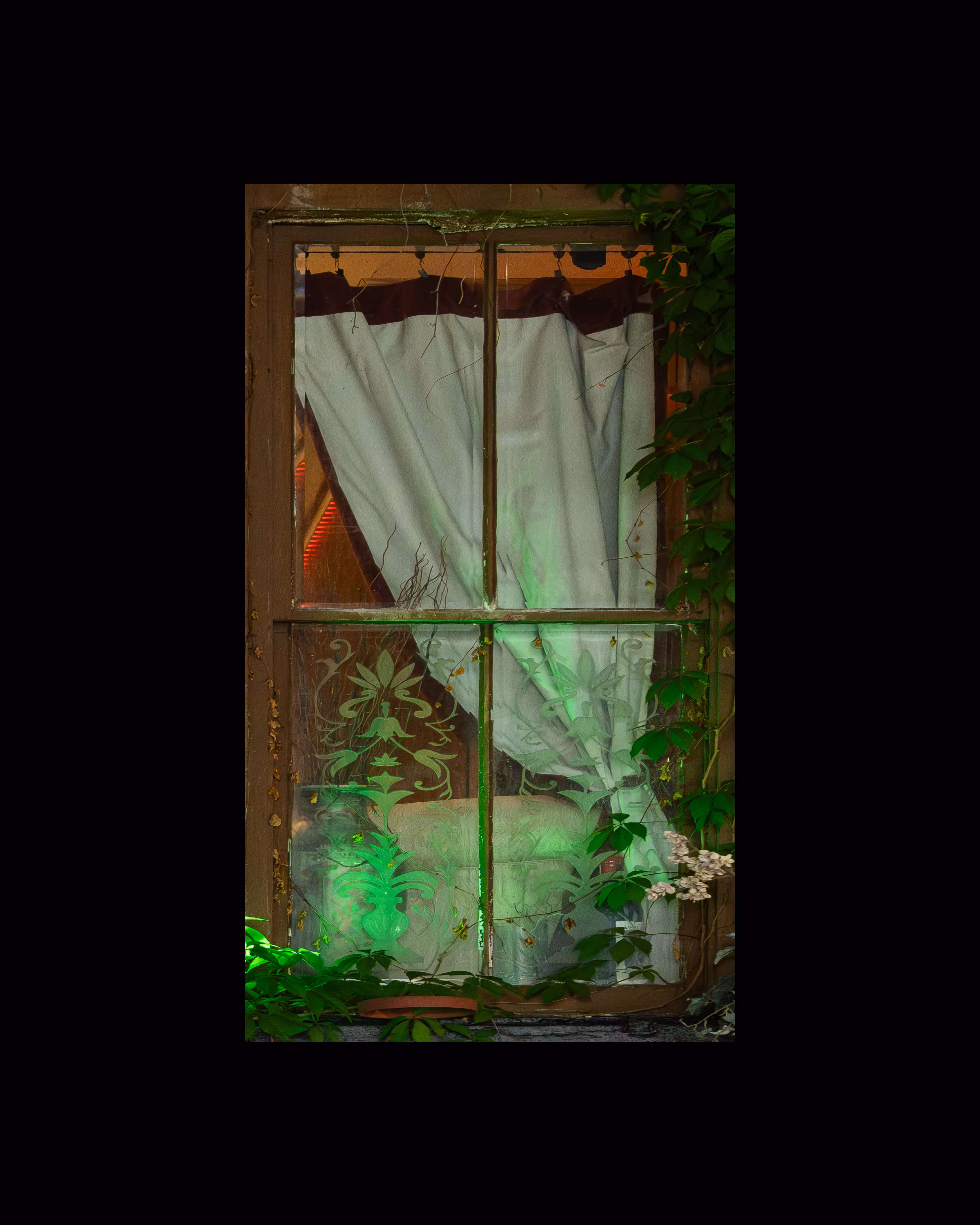 WINDOW 283
