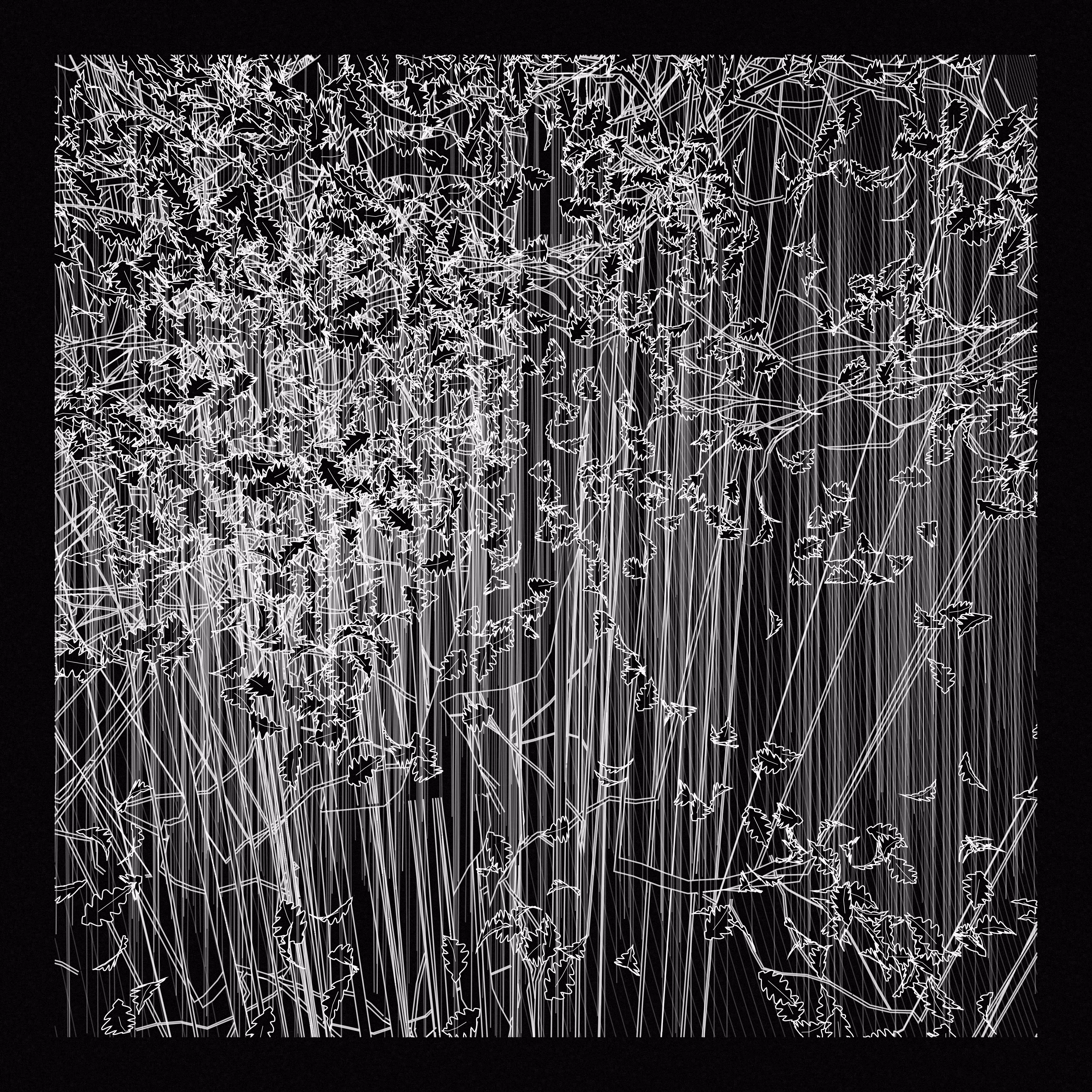A Bugged Forest #691