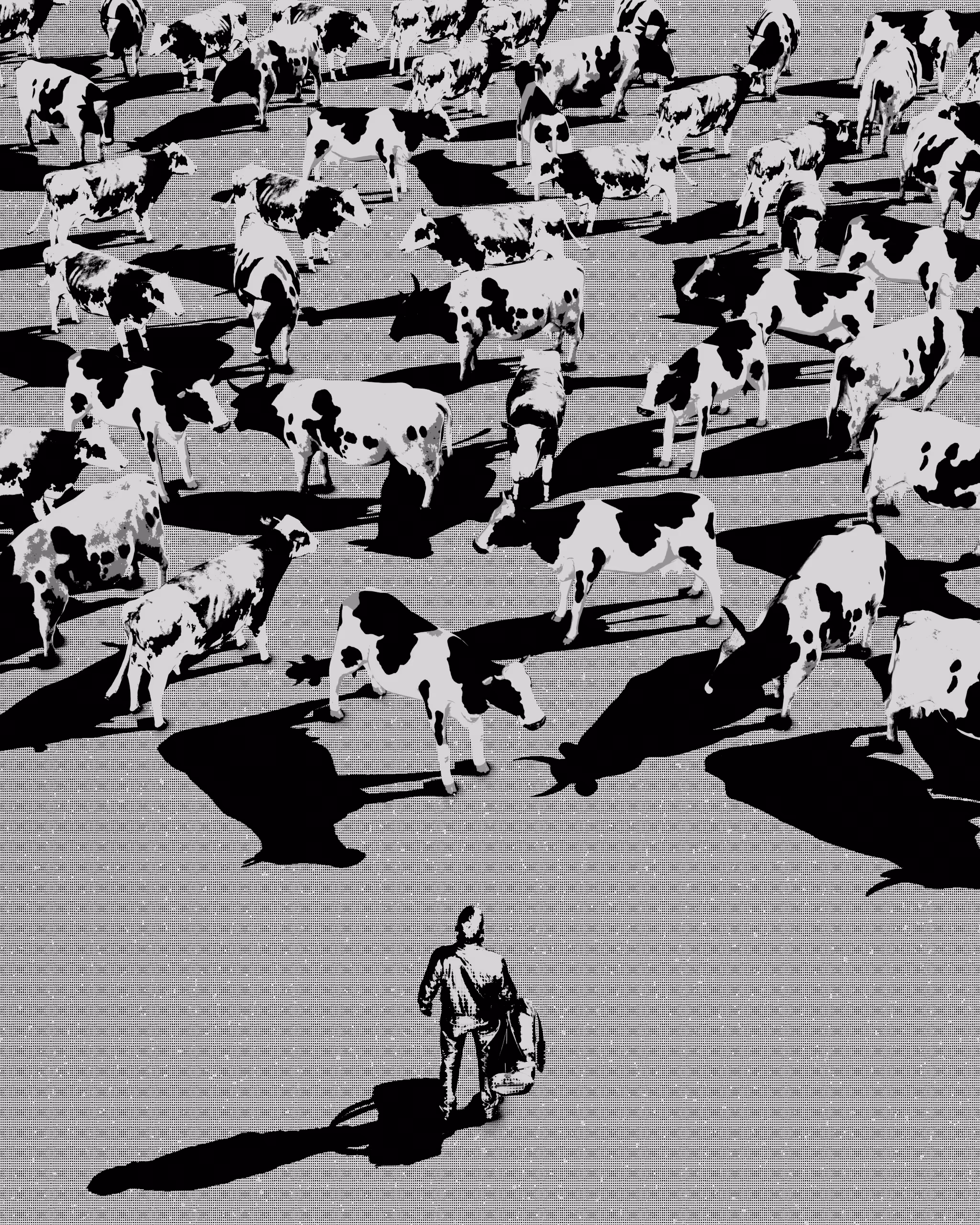 NOIR.HERD