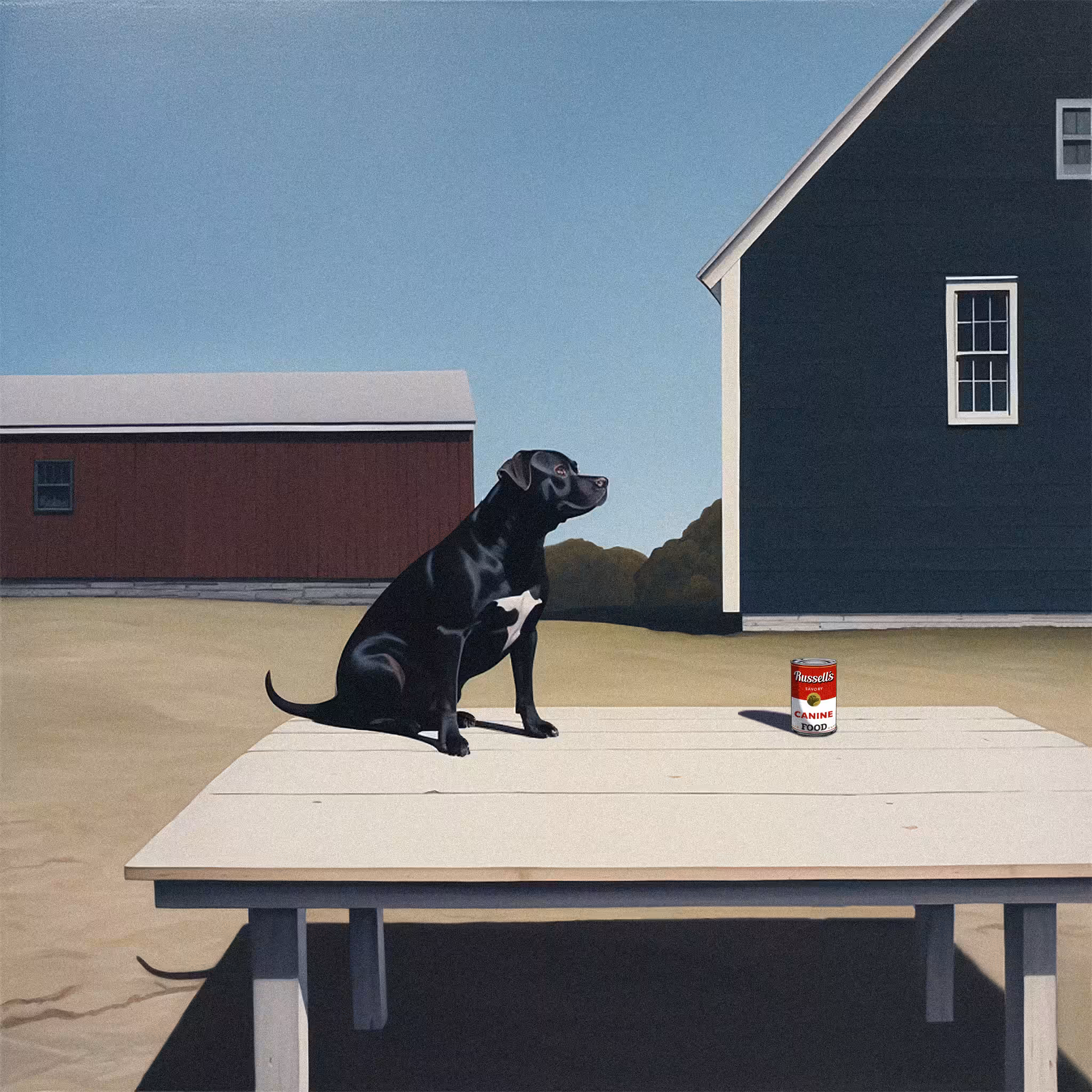 Country Dog