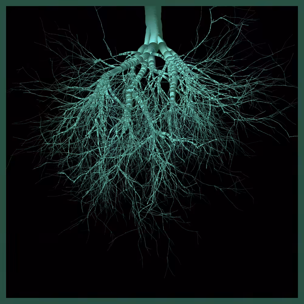Arbres suspendus #173