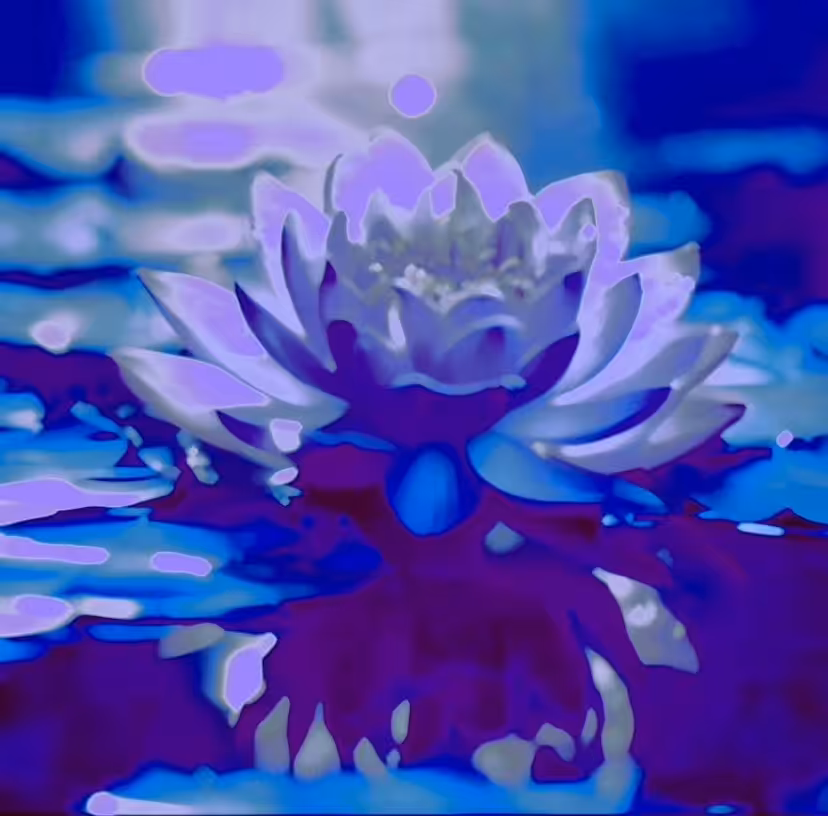 Lotus Flower Rising (Violet Spectrum Variant) 