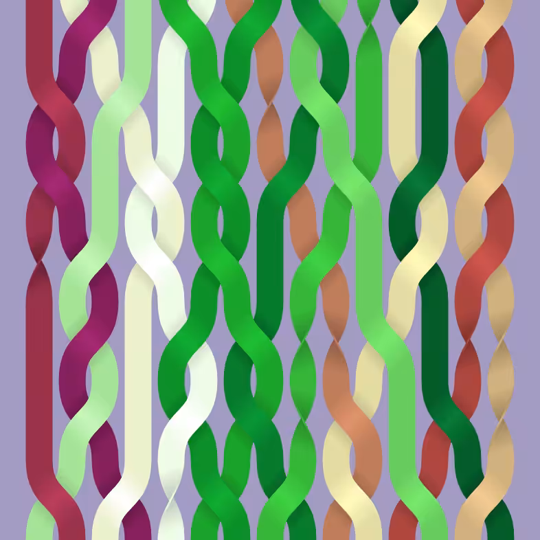 Endless Braids #42