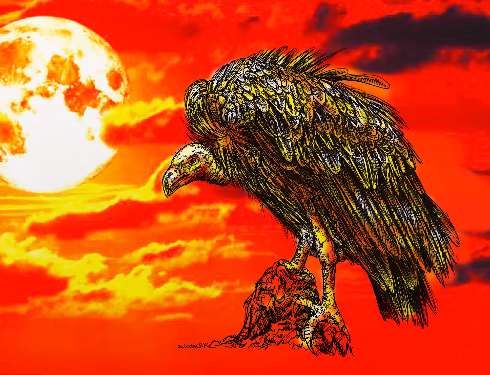VULTURE