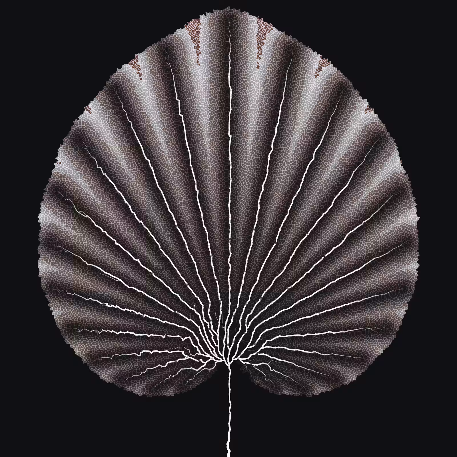 Leaf study #46