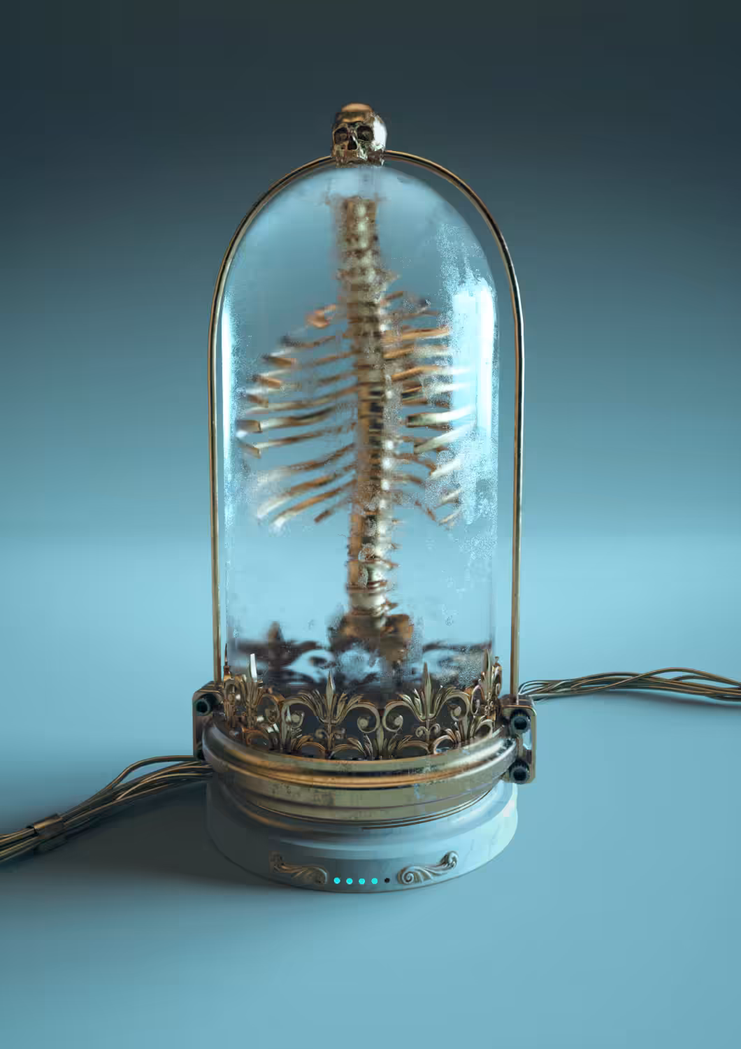 Human Museum Collection: Exibit 1