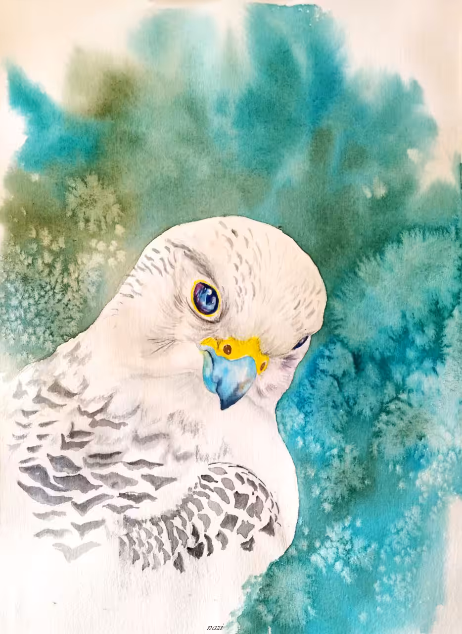 lanner falcon