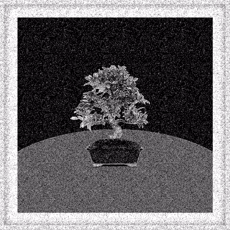 Bonsai Bonanza #473