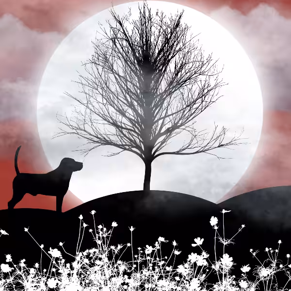 Moon and Life #3
