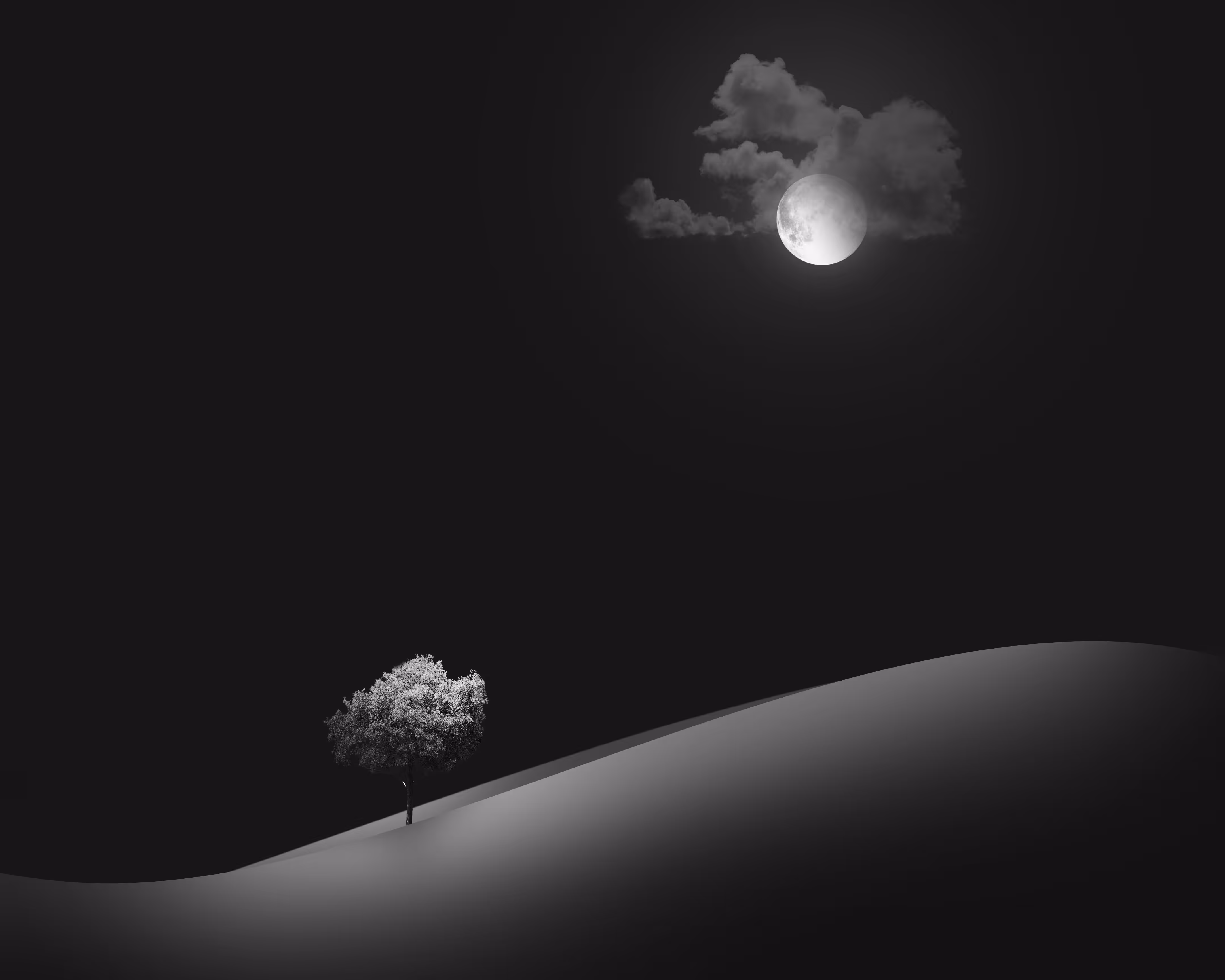 Silent Night
