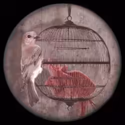 TheCage