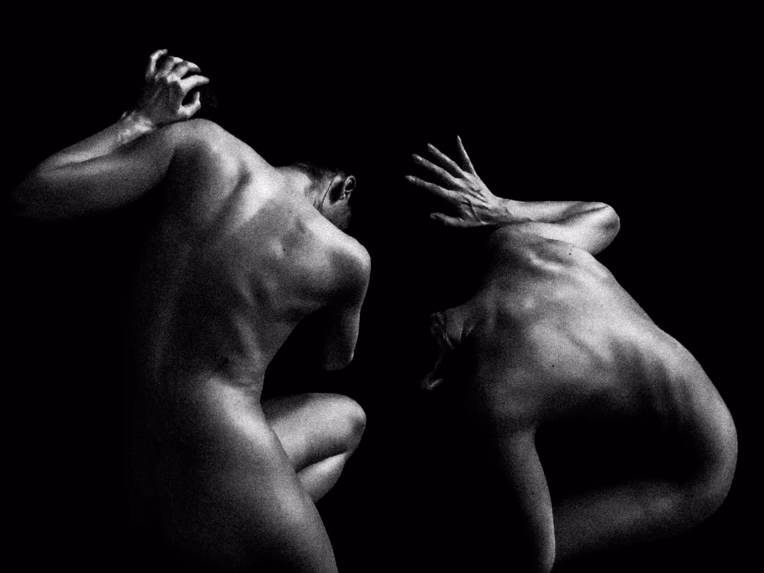 THE LOVERS