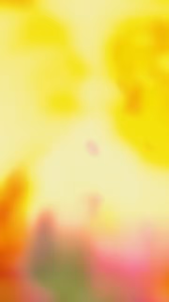 Wanderer (Entropy Loop IV) 