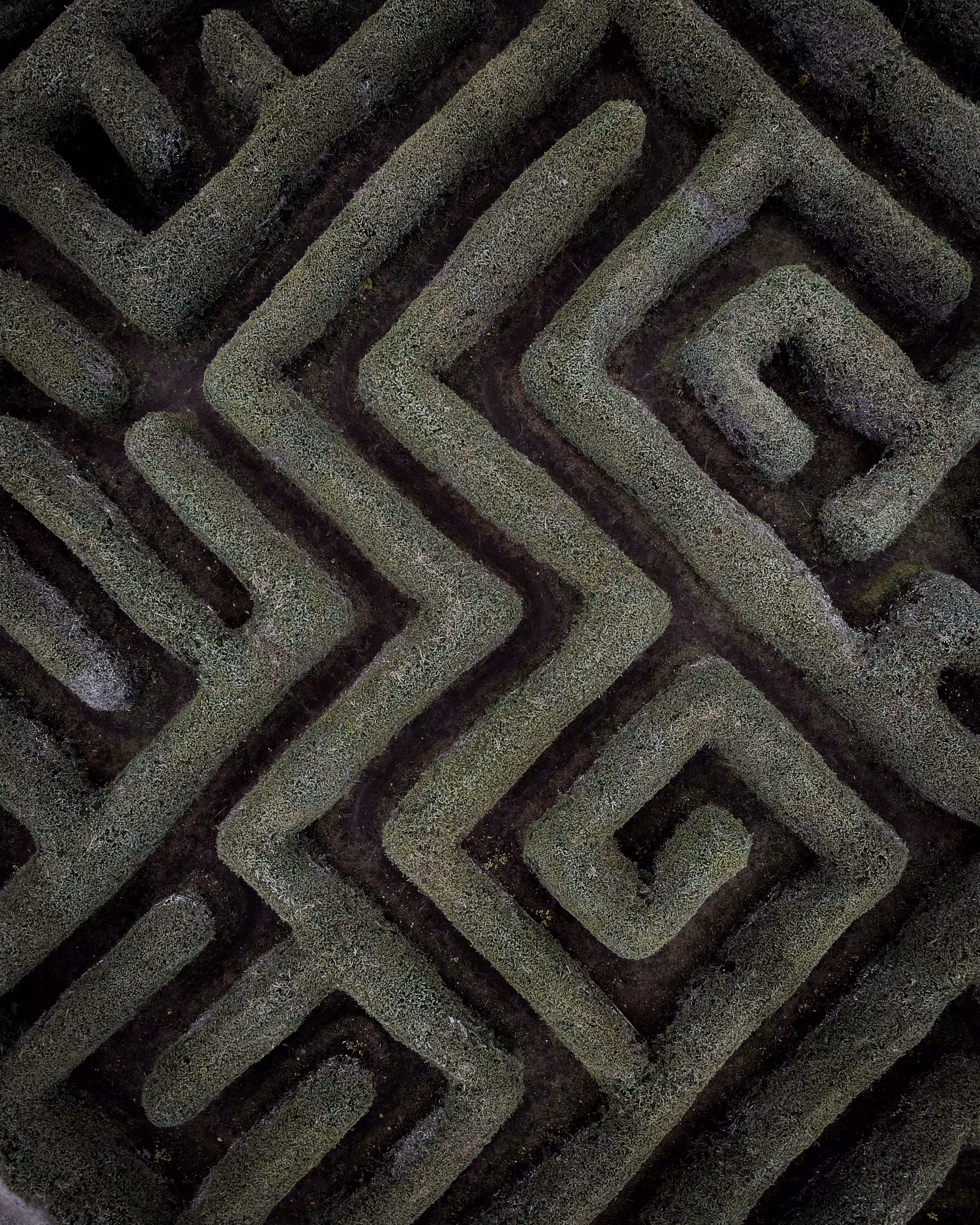 Maze Hacker #20