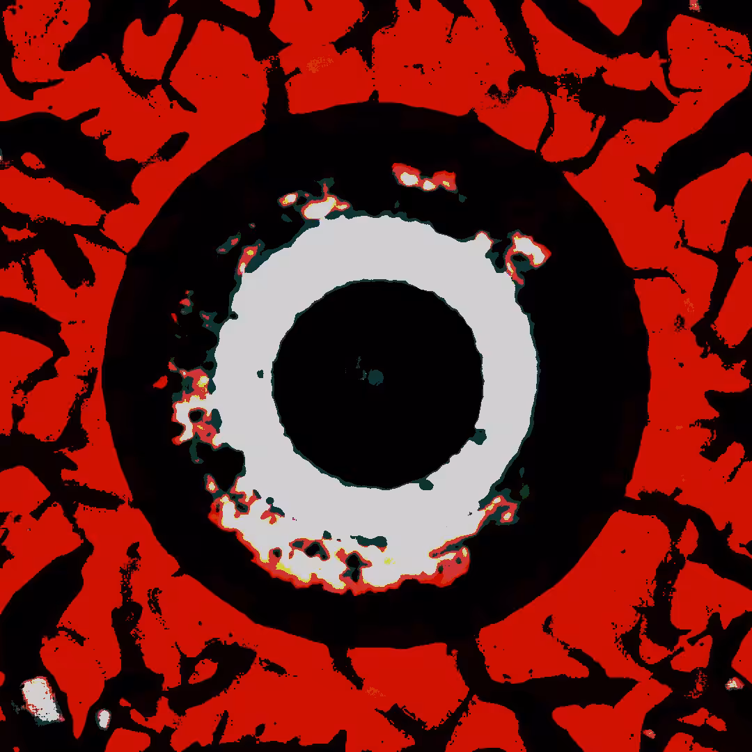 Cycle #2