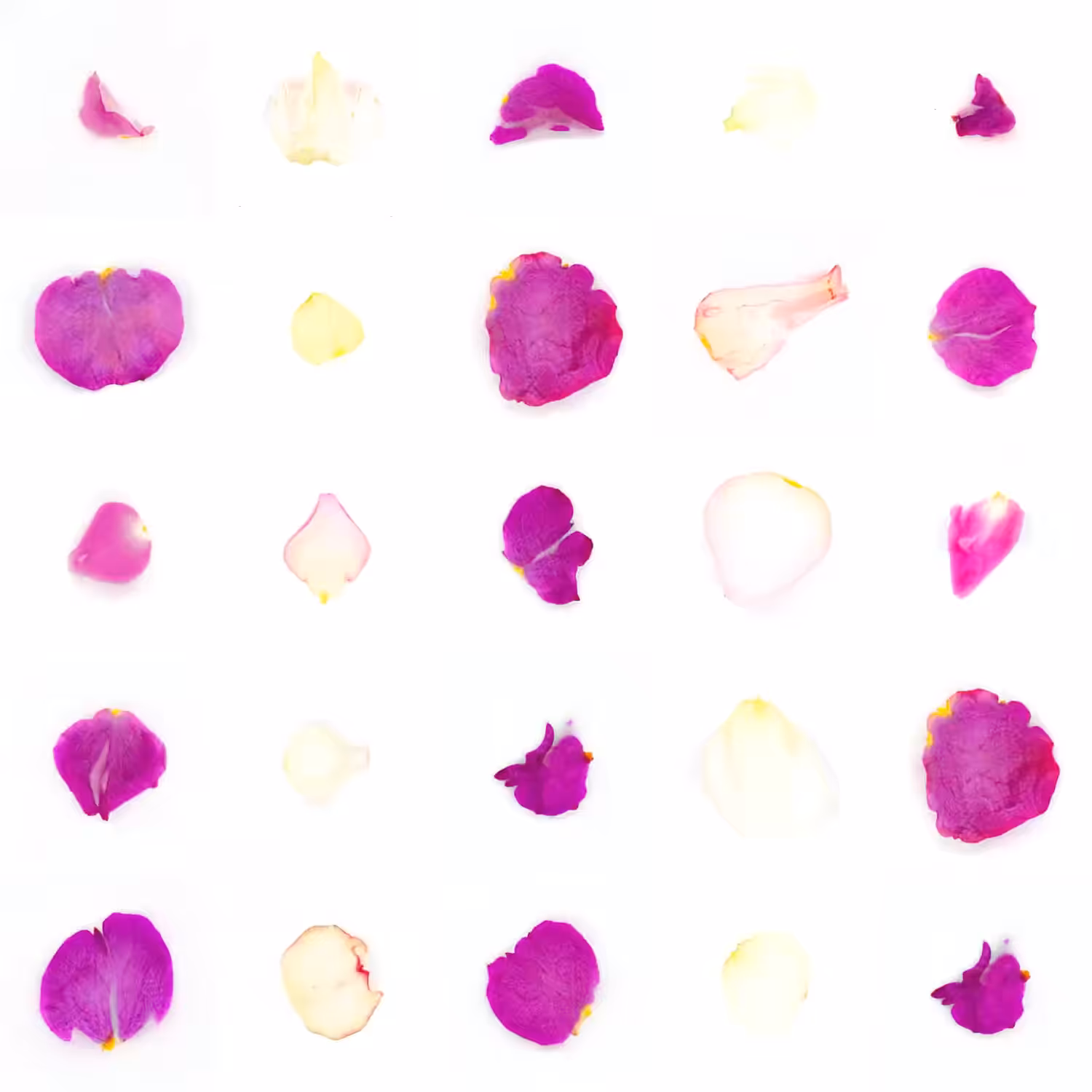 Infinite Petals 5x5#2160