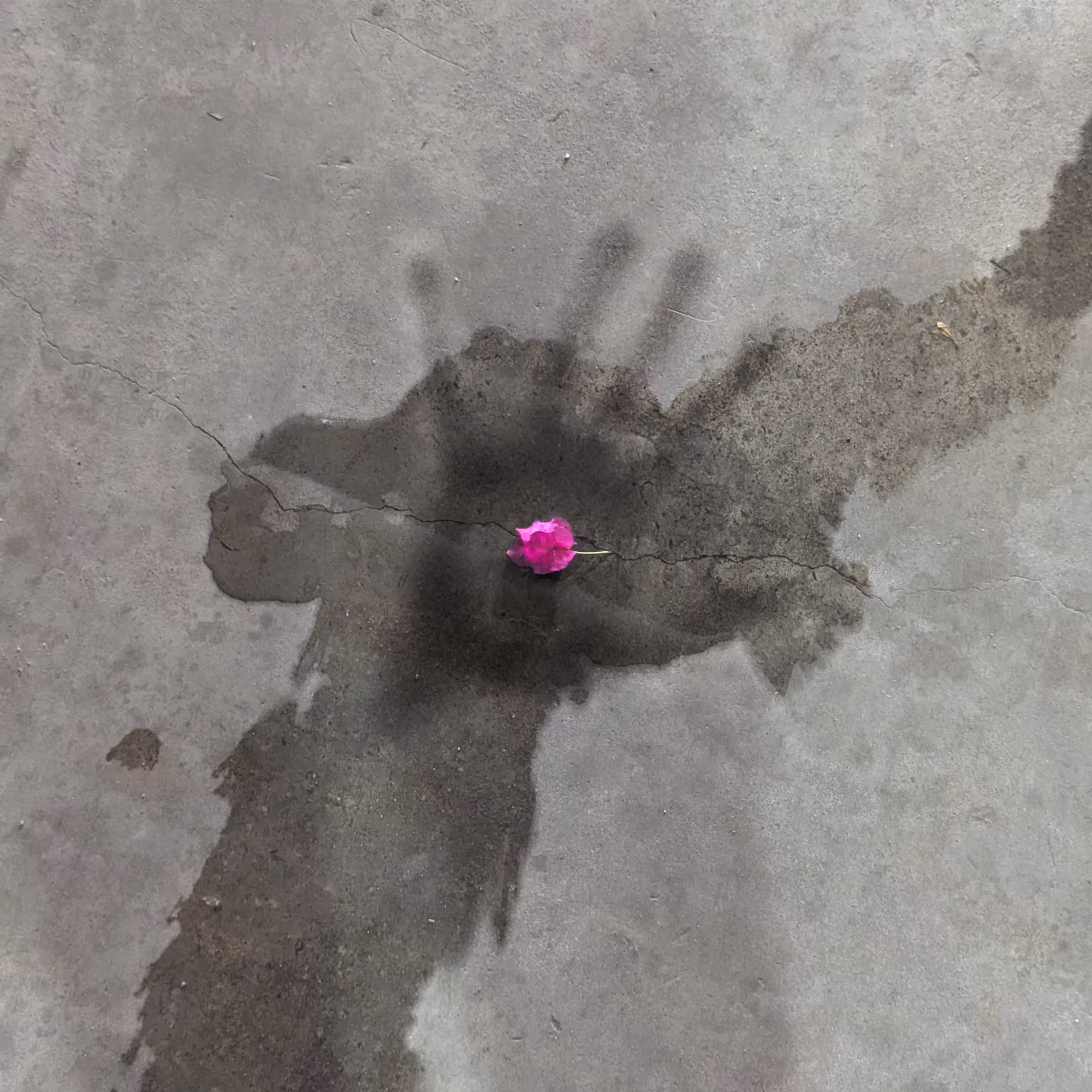 discarded offering