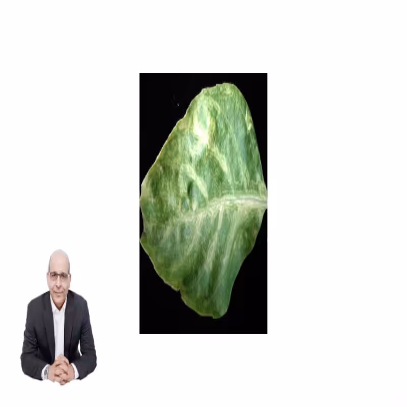 ART BASIL 2022 #13