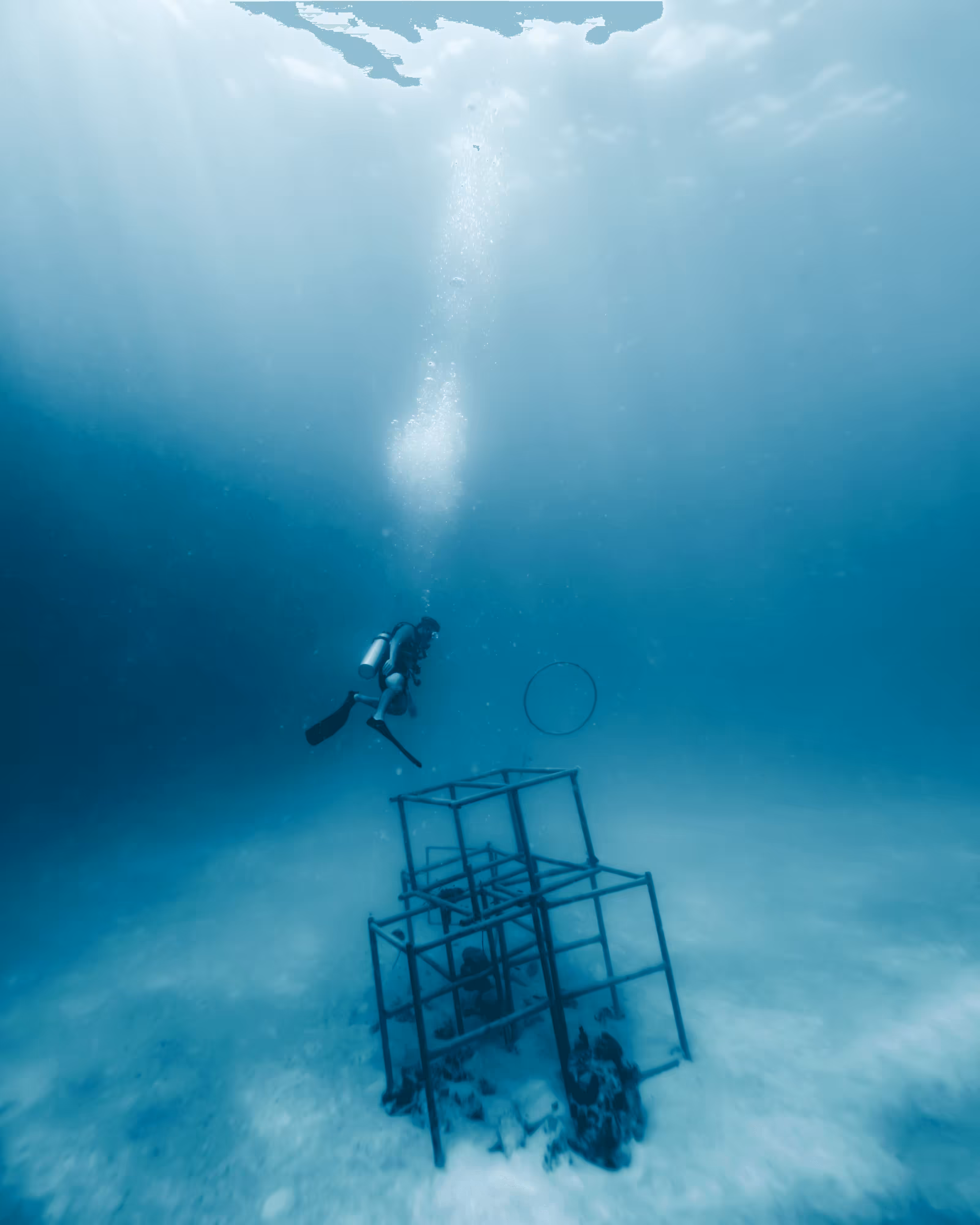 "Into The Blue" #17