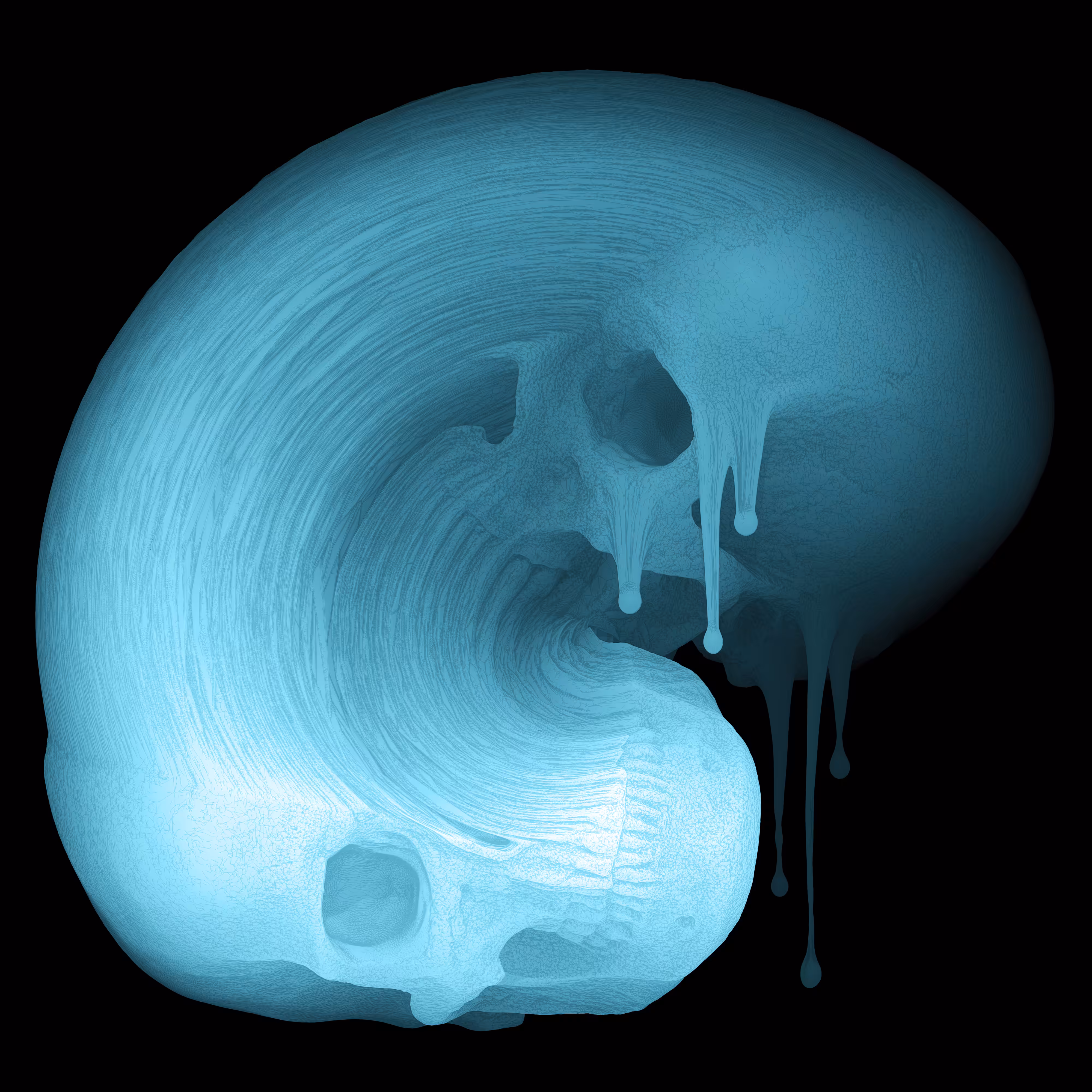 Skin Hodlr #07 (X-ray)