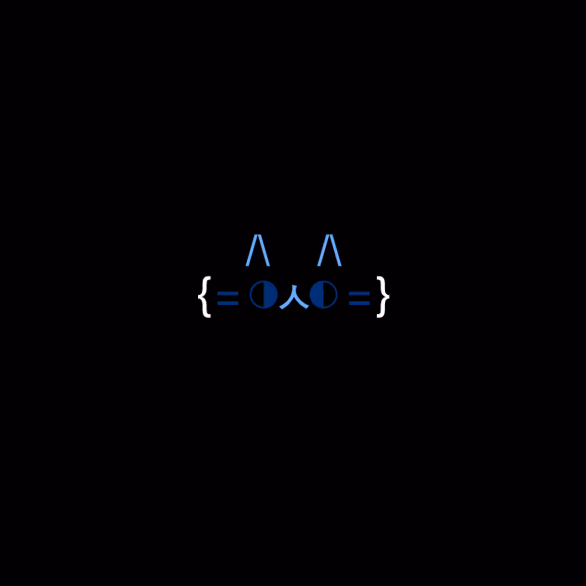 cats #911
