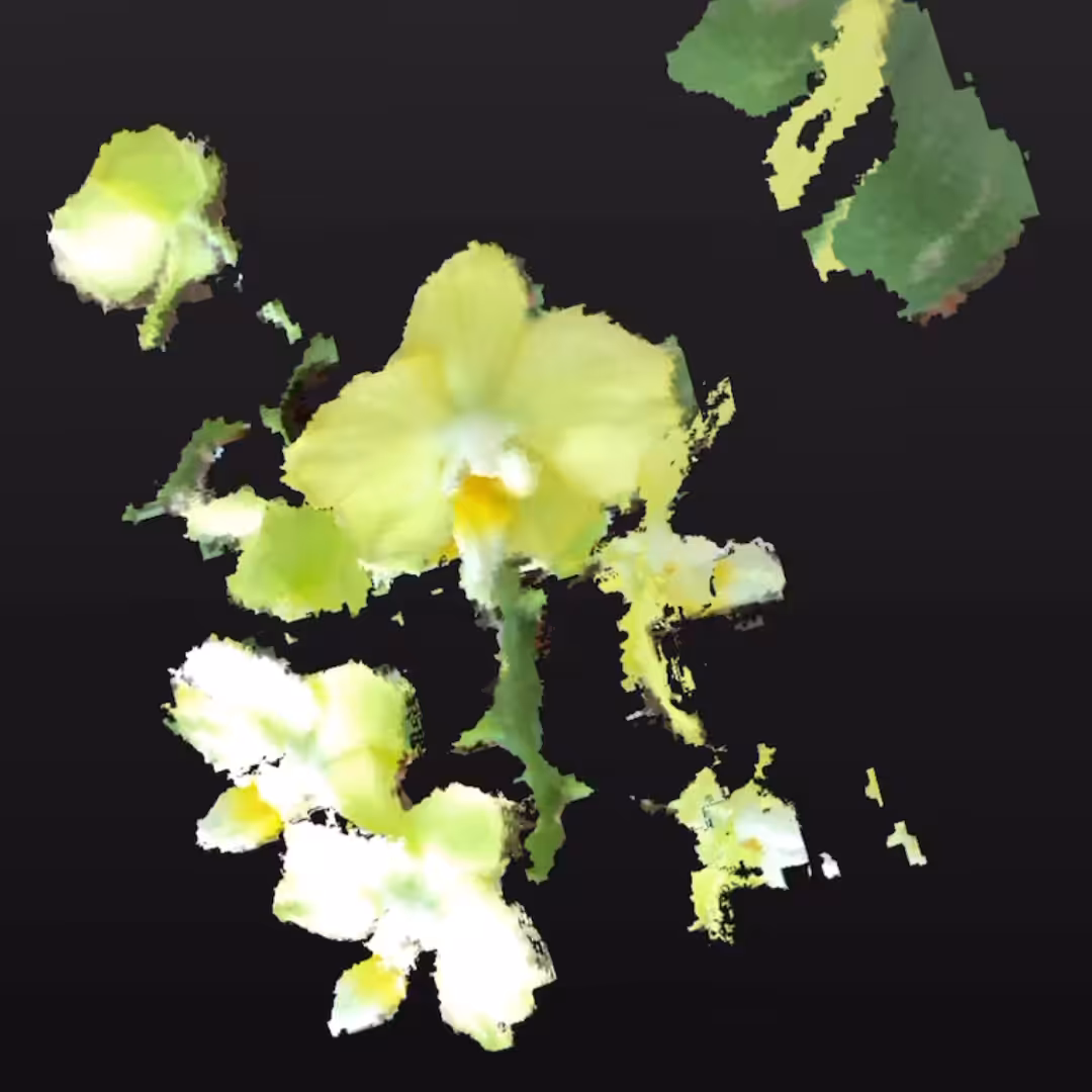 Orchid #3