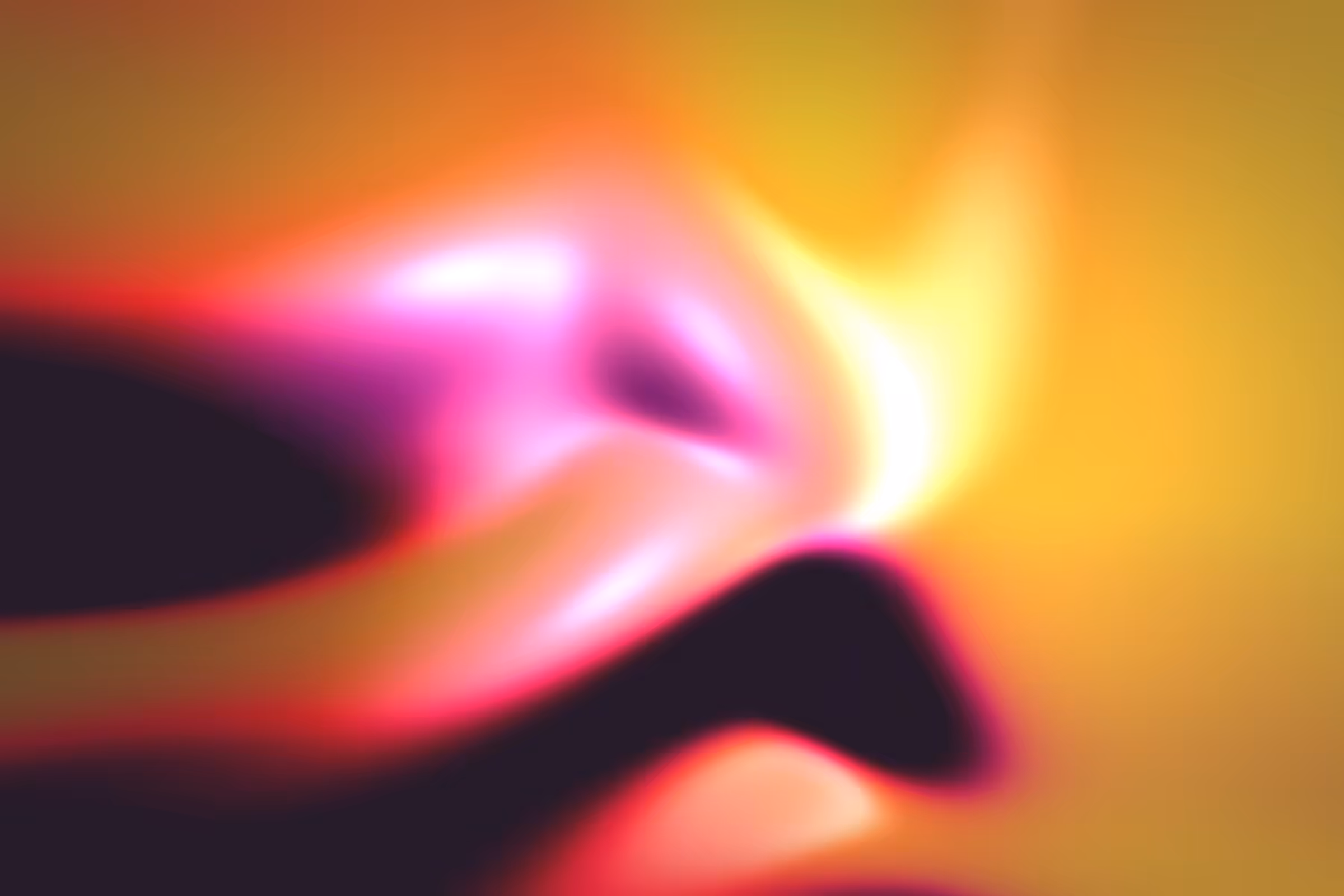 Flux #365