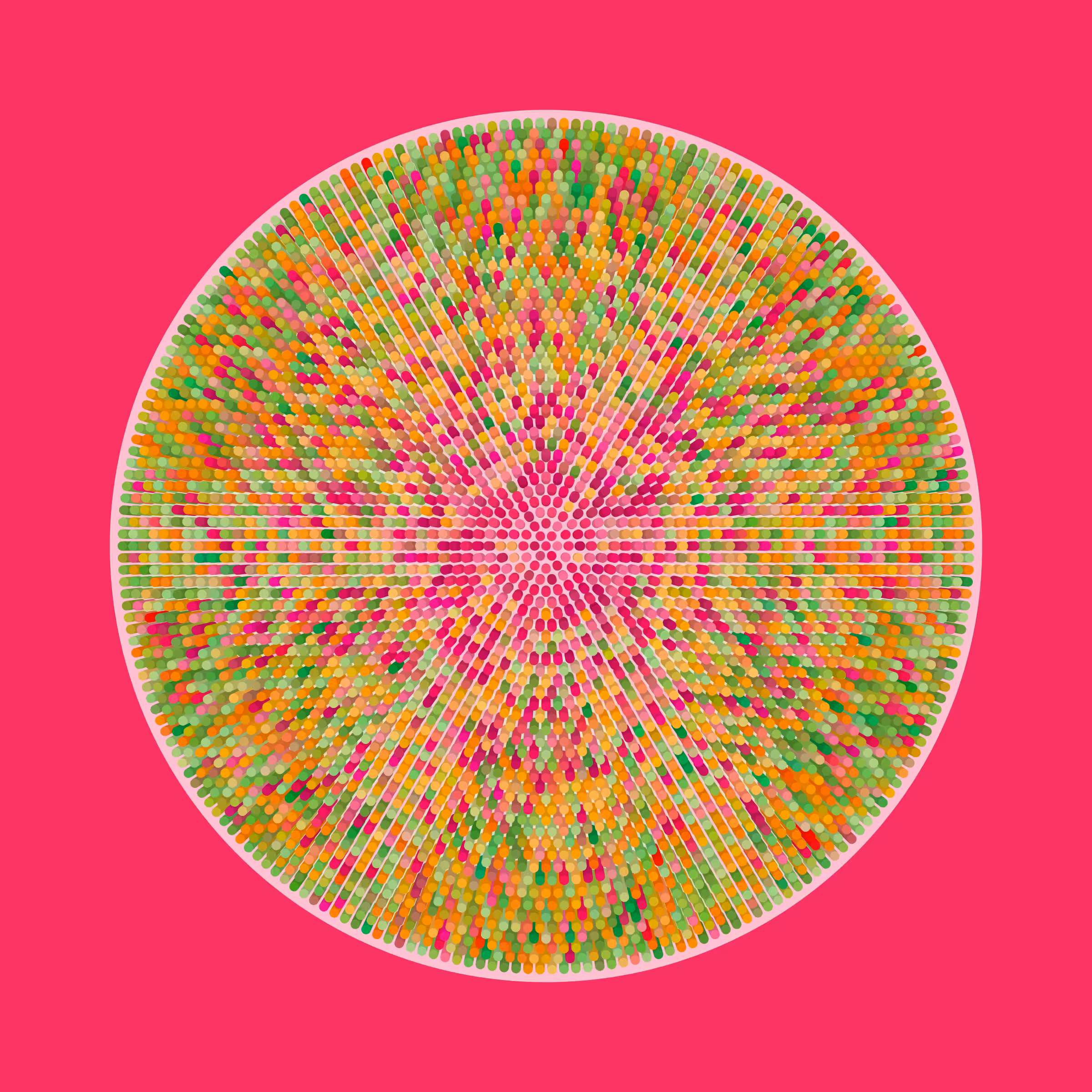 Transitions #1231