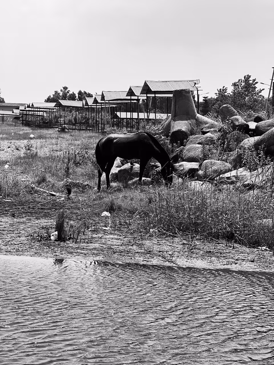 The Happy Valley: Black and white world
