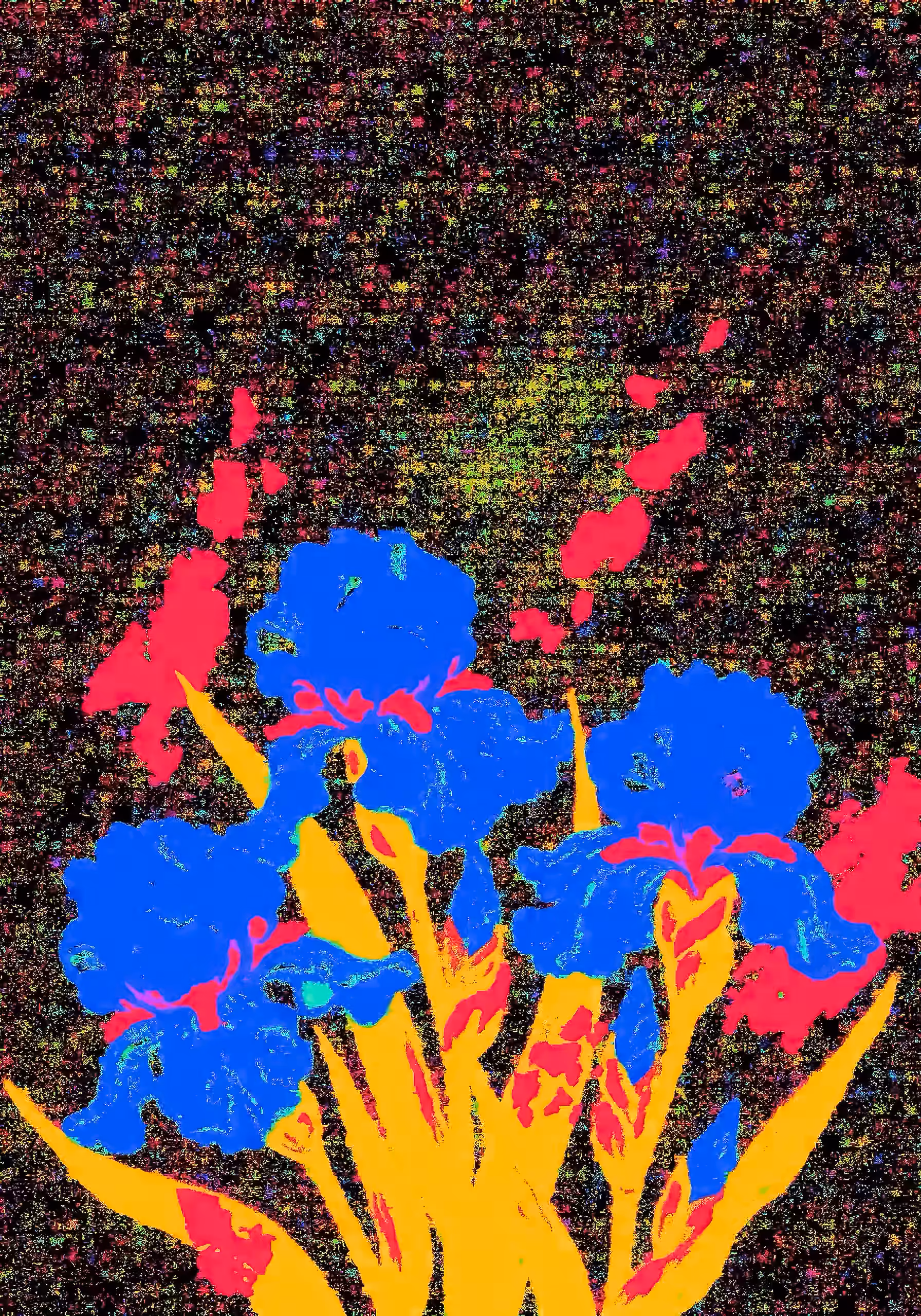 Iris Three