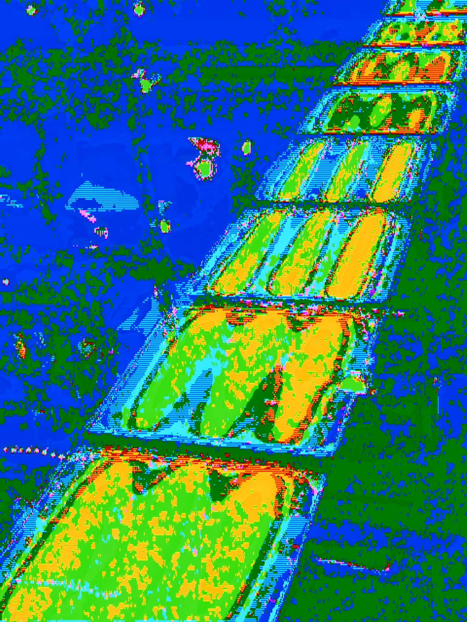 False Pathway