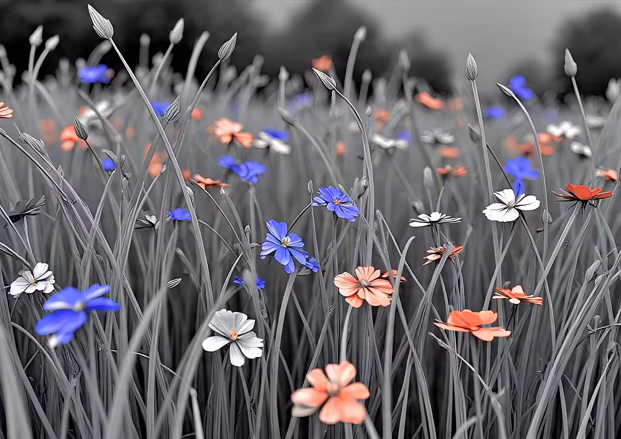 In the Gray, We Bloom