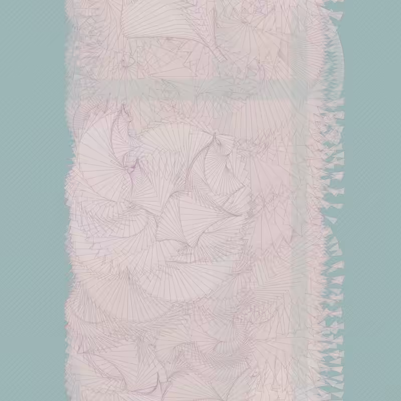 Braids/burdens #33