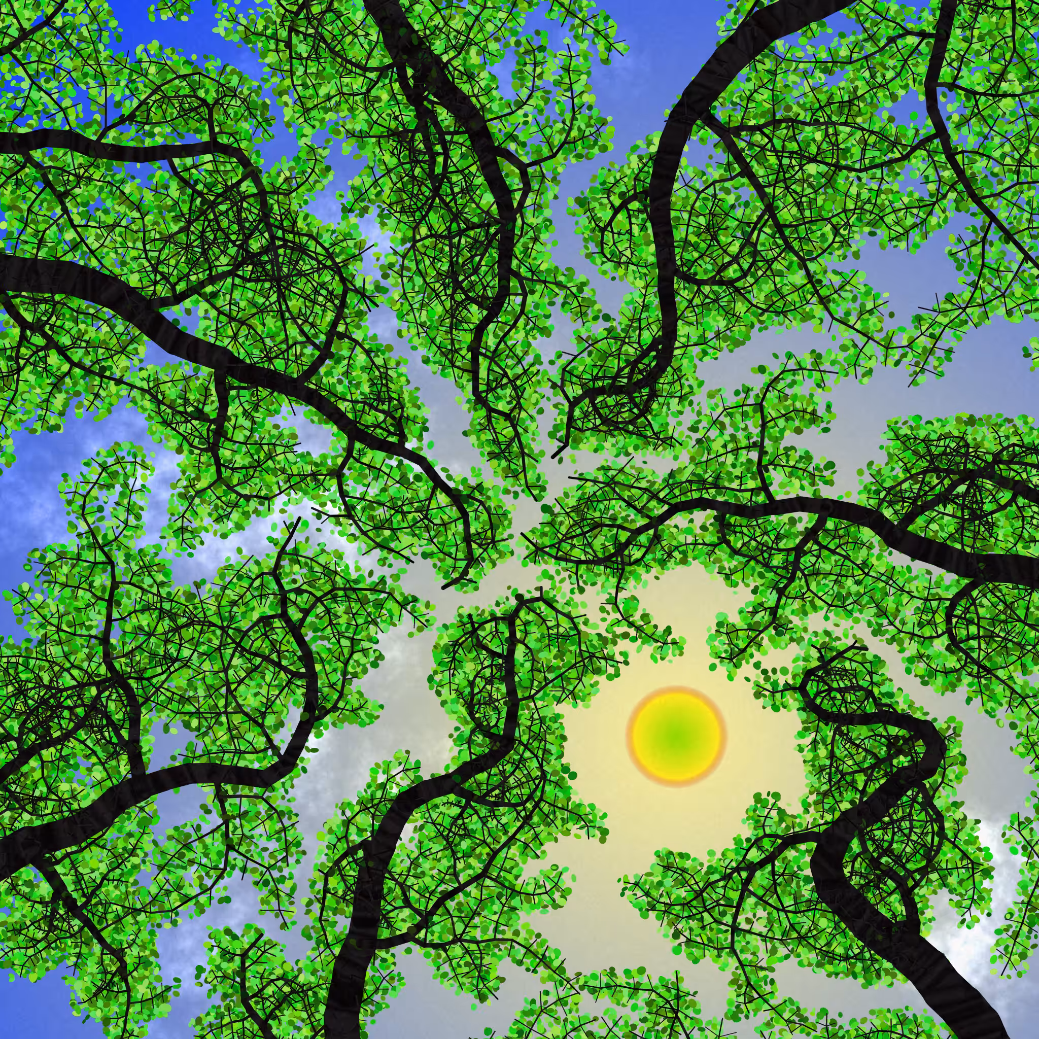 Tree Skyness #122