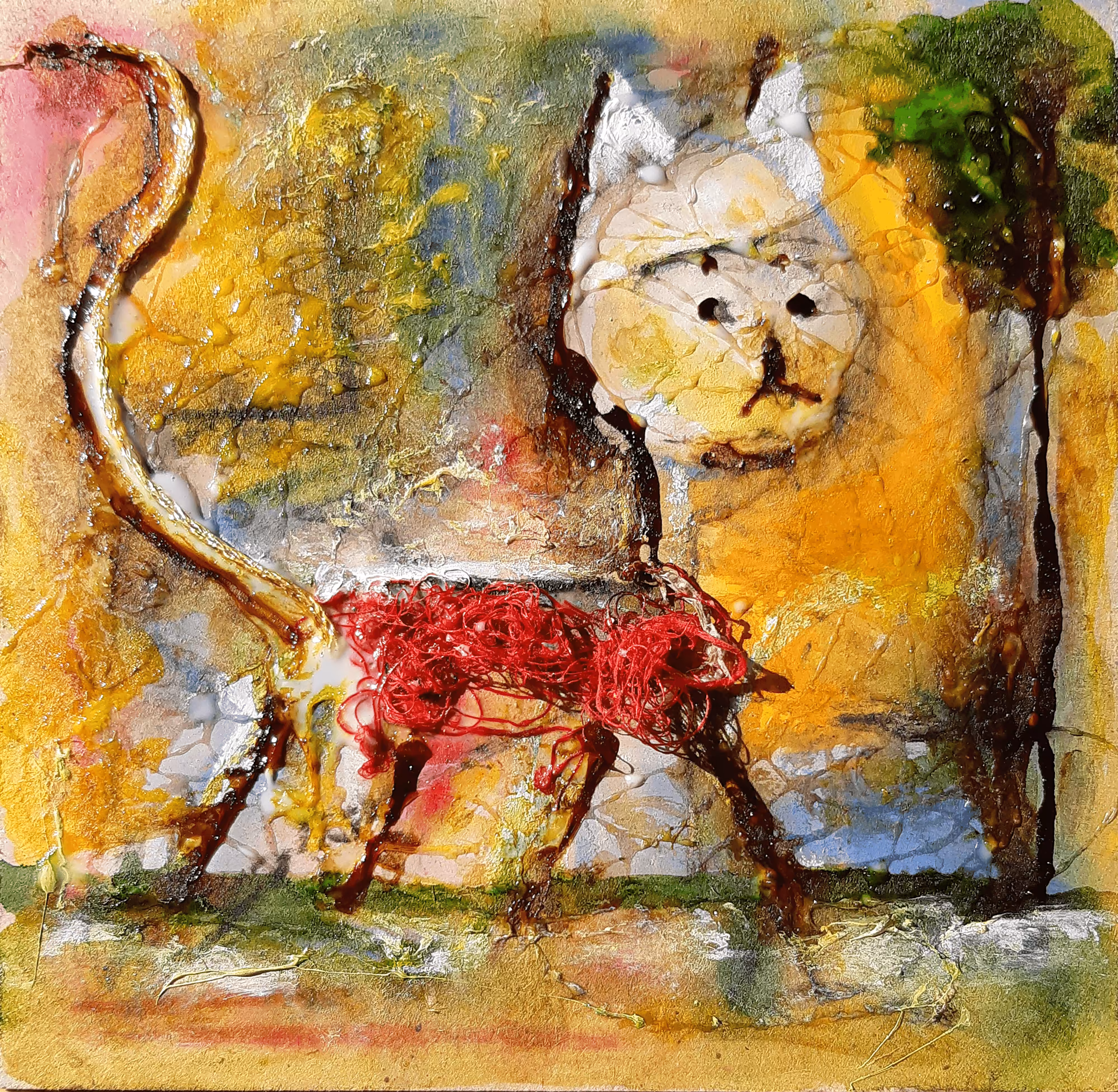 Dom's Cat