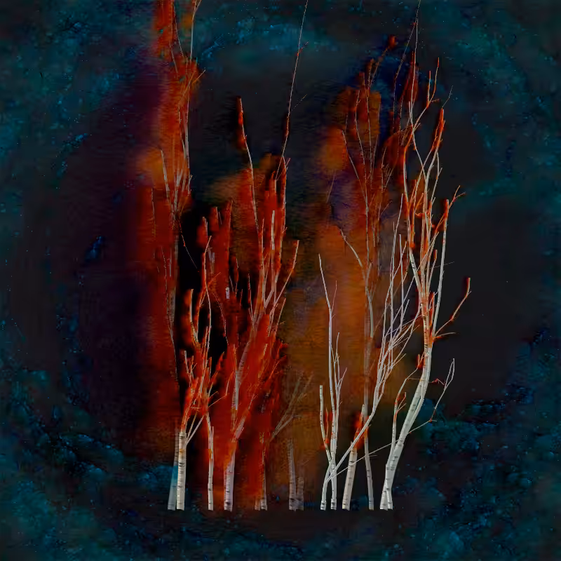 Grove #11
