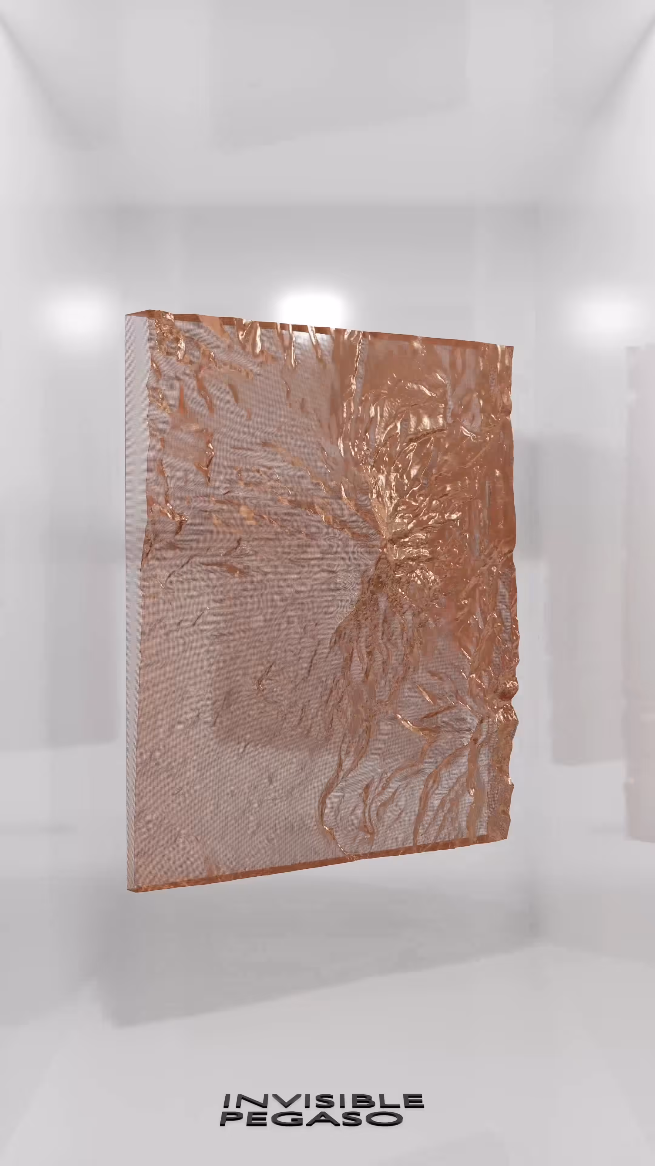 Invisible Pegaso - Copper memory