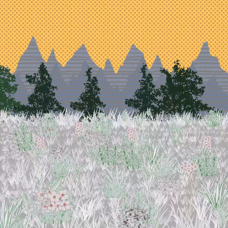 Mountain Meadows #23