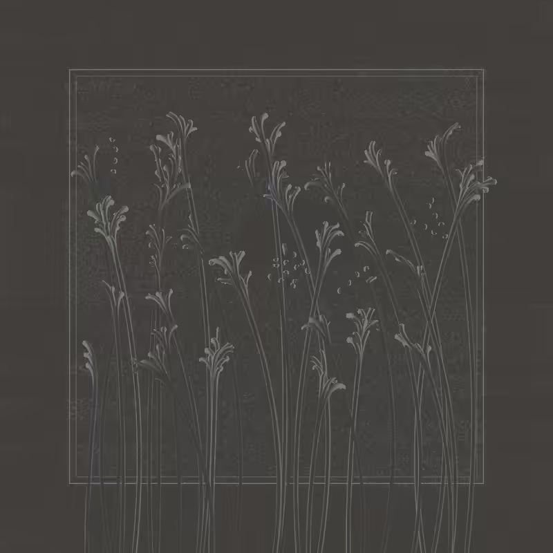 string_pllu #17