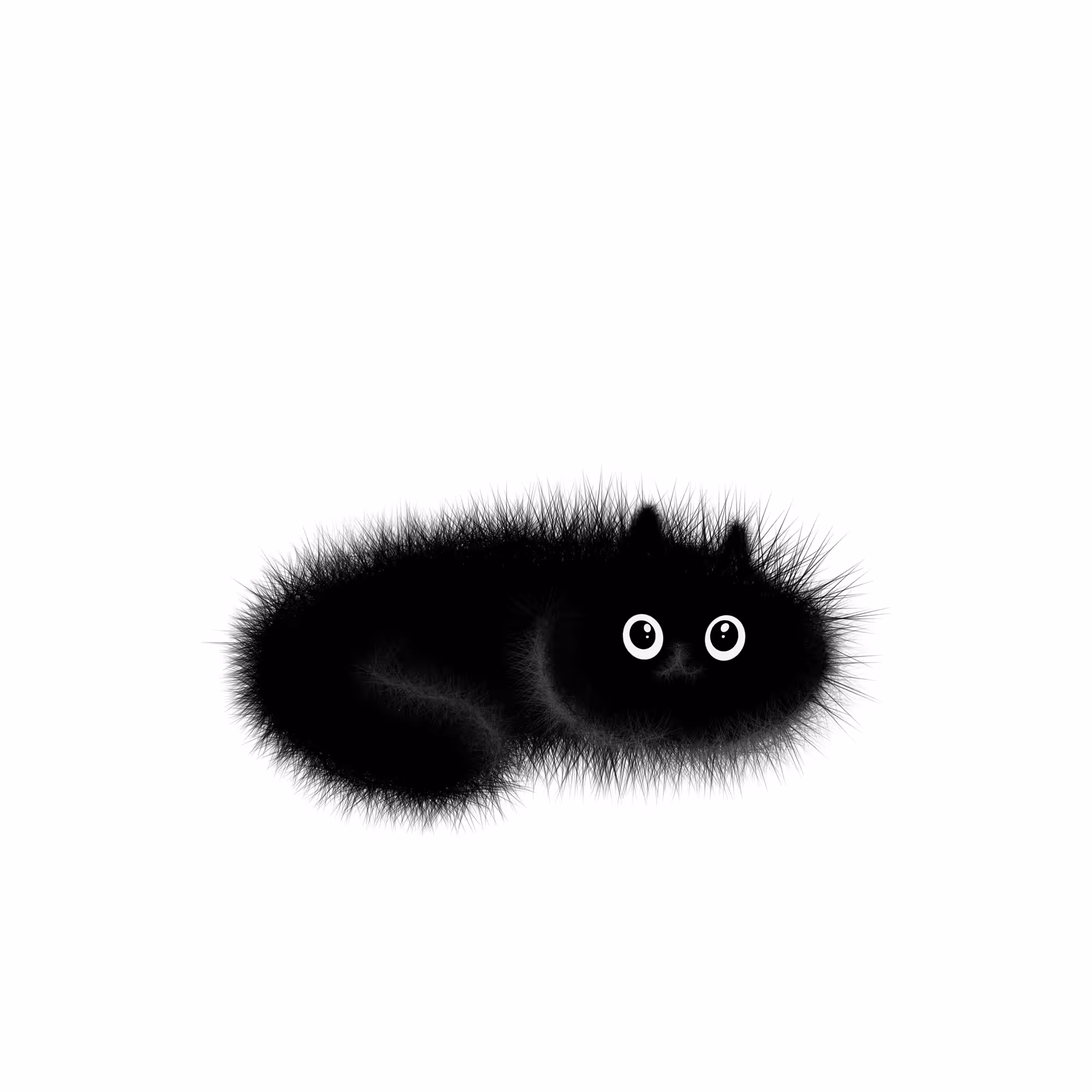 Black Cat #12