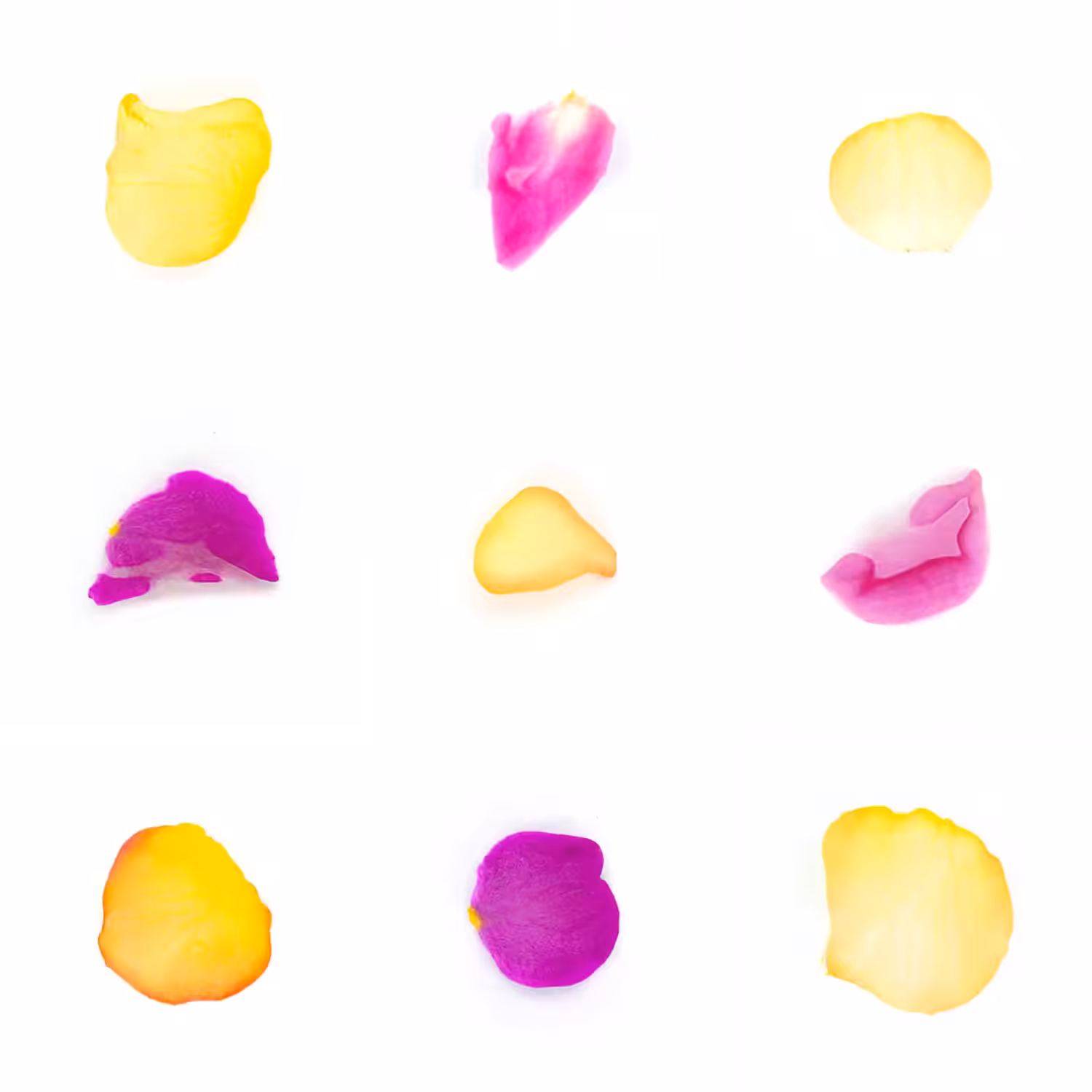 Infinite Petals 3x3#3526