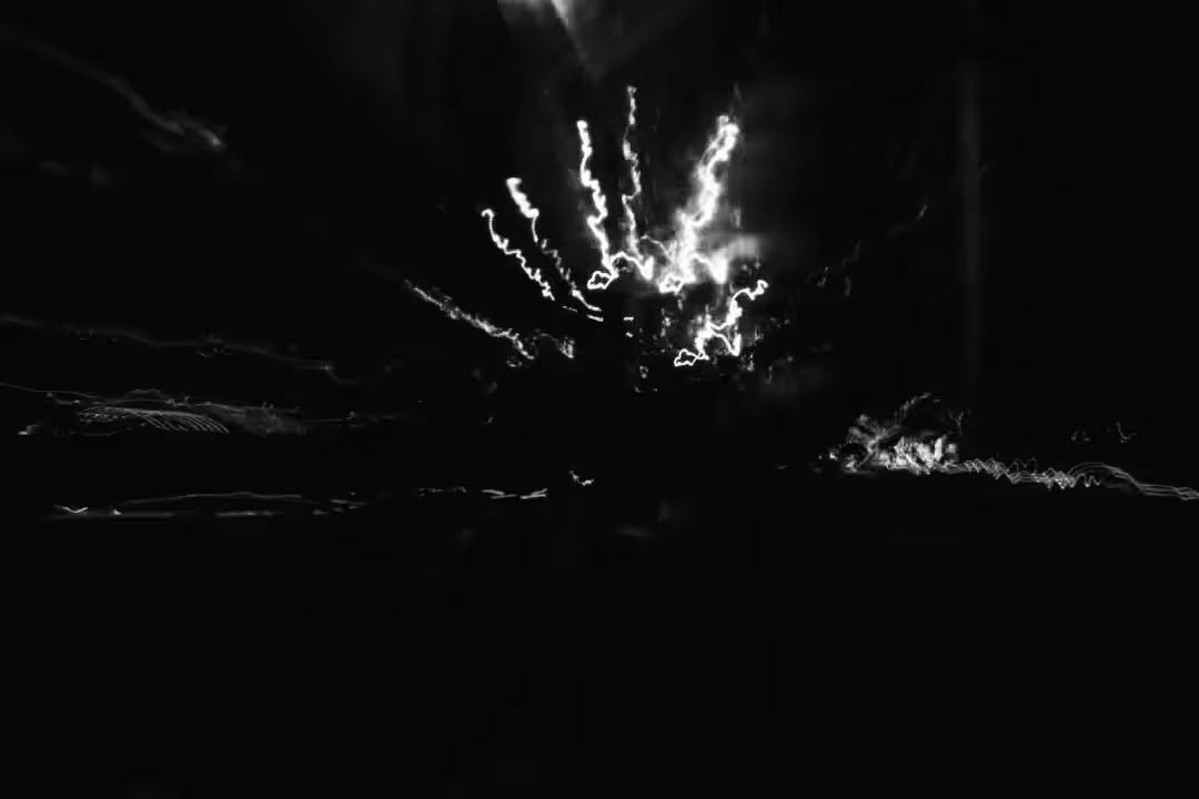 Black and white : The fallen night #3