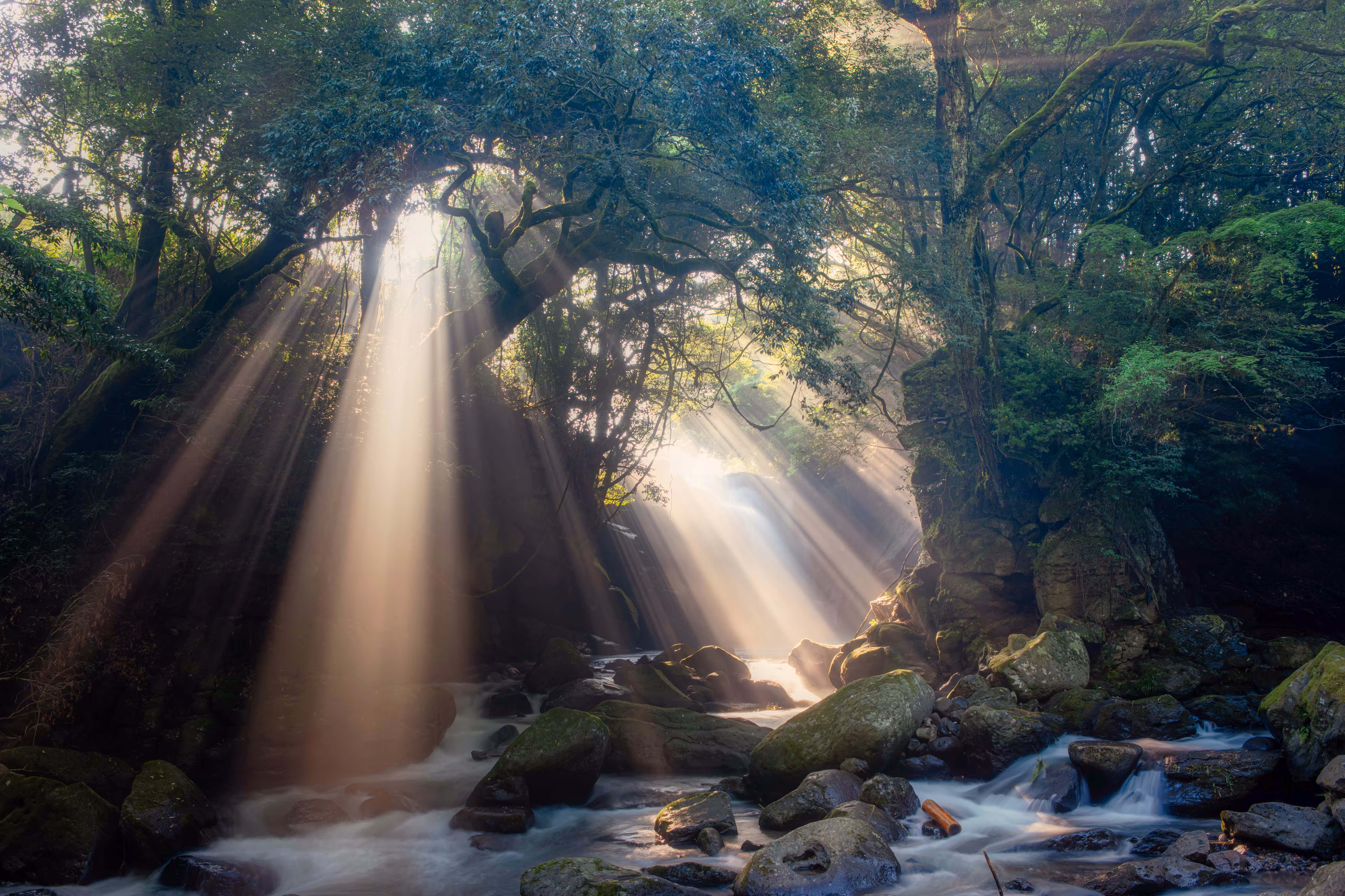 Beam of light