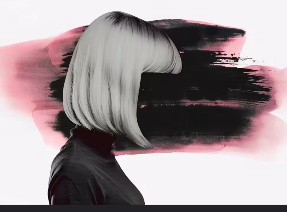 Hidden Face
