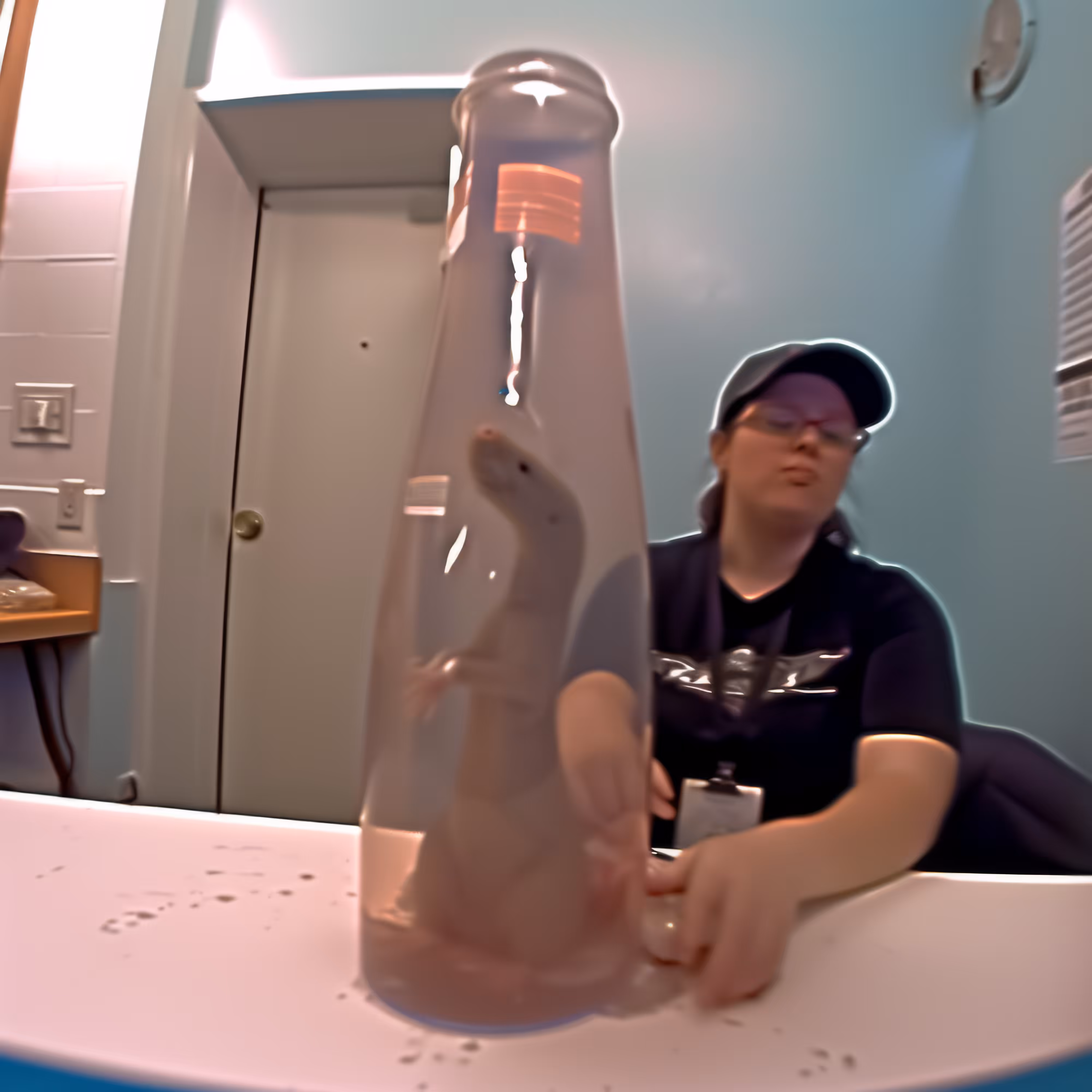 Rat-in-a-Bottle