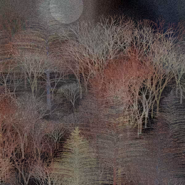 Moonlit Native Bush #97