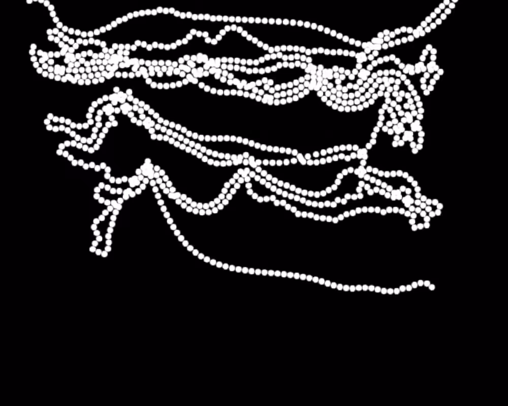 Chain #24